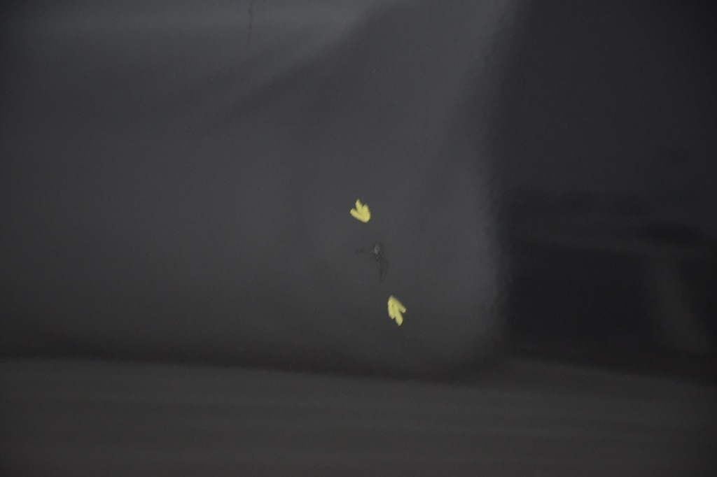 фото №5, Дверь задние задняя левая bmw i3 b79