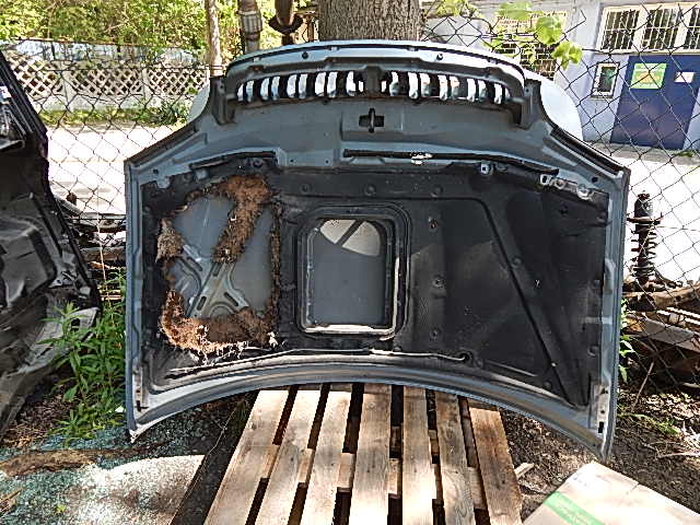 фото №2, Капот kia carnival i 2.9 tdi 99-01