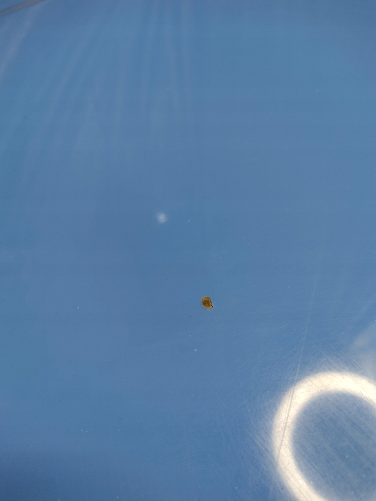 фото №11, Капот кришка двигуна fiat panda ii 2