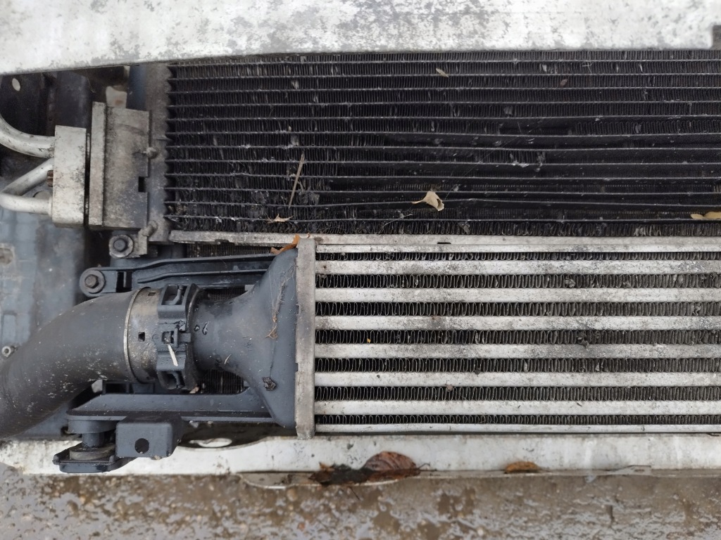 Купити Ремінь передній балка радіатор 1.3 cdti opel corsa d рестайлінг  2010-2014