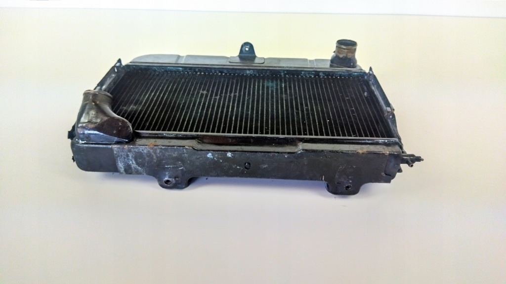 Citroen ds 1955-1975 2.1 радіатор води Зі Шроту