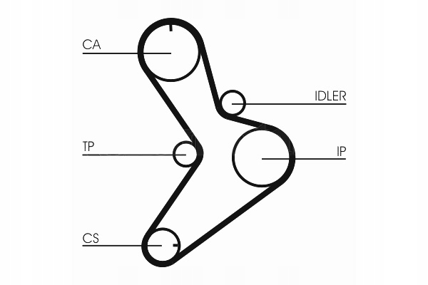 фото №3, Ремінь розподільного валу iveco daily ii daily iii rvi mascott citroen jumper