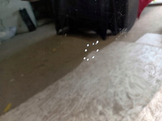 фото №6, Капот крышка двигателя bmw x1 u11 22-