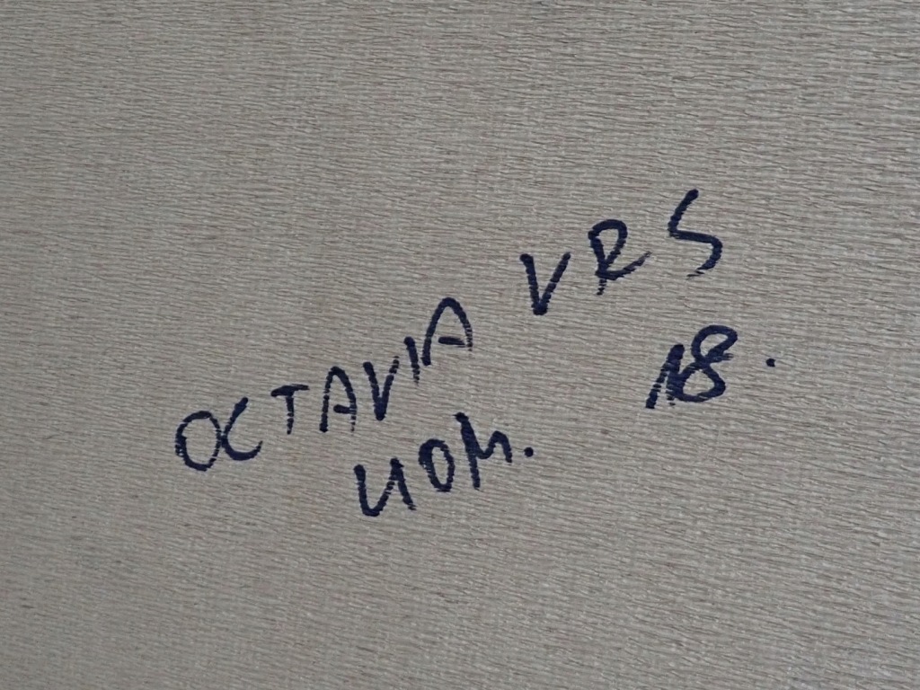 фото №8, Стеля стеля оригінал europa skoda octavia iii kombi vrs 18r