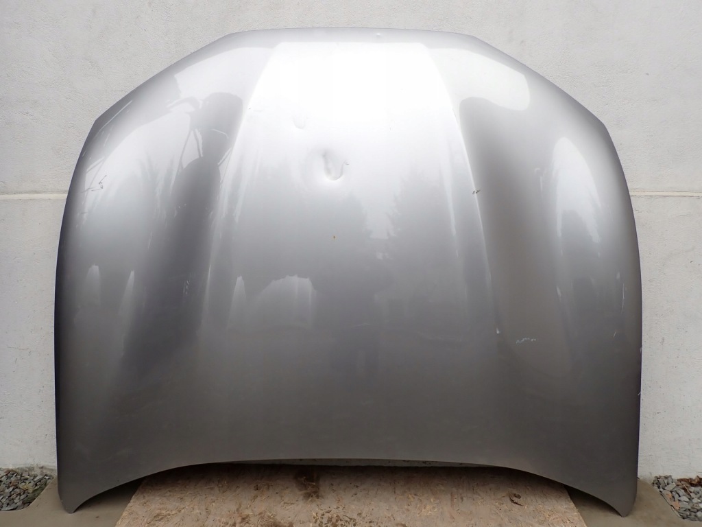 Купить Капот крышка двигателя ford mustang mach e cgw 2020- lj8b-r16612-ag