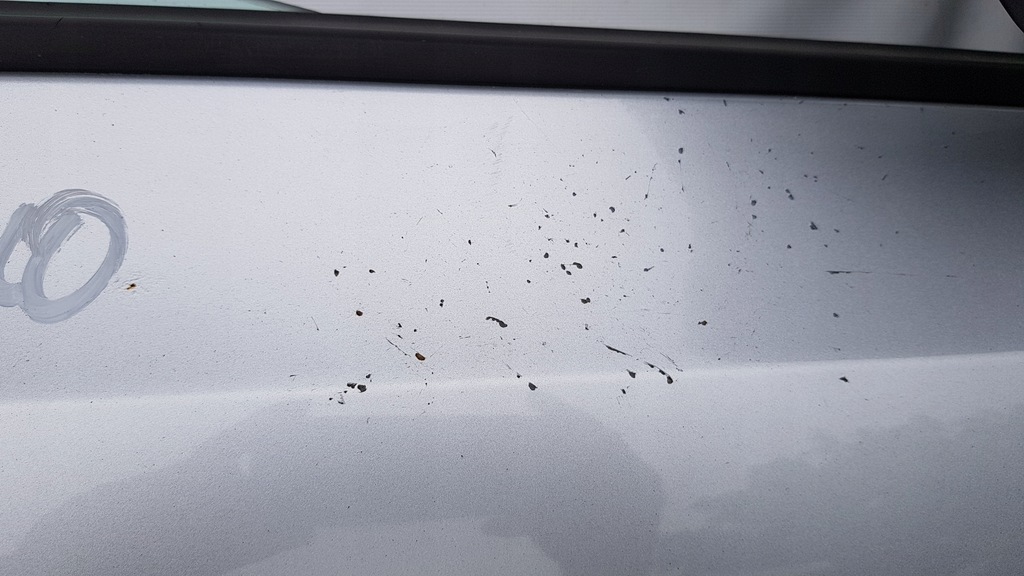 фото №12, Двері праве vw scirocco la7w