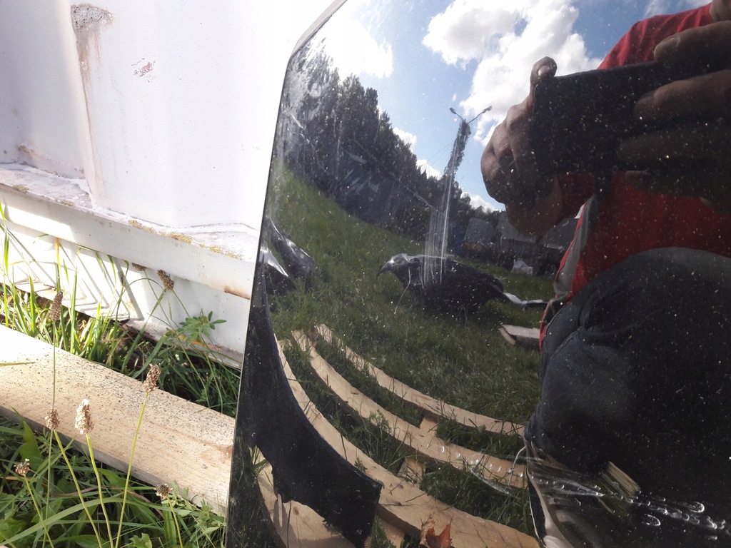 фото №9, Smart forfour капот крылья бампер