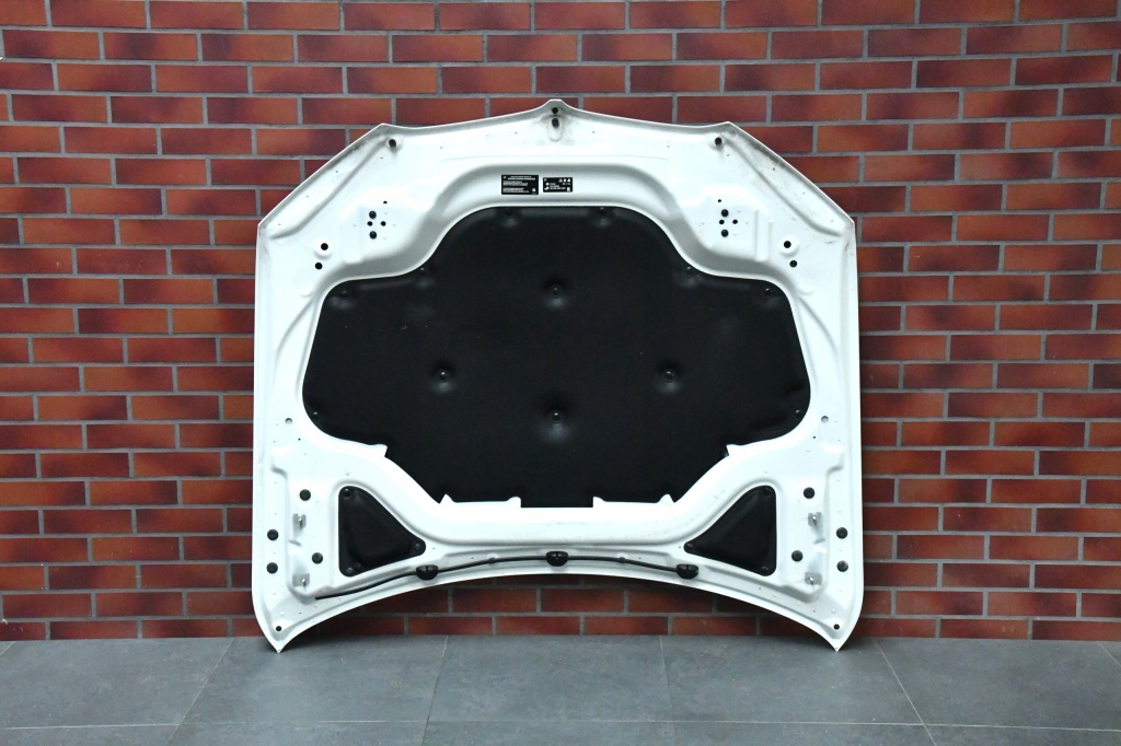 Капот кришка двигуна крило ліве правий bmw x5 g05 a300 alpinwhite в Україні