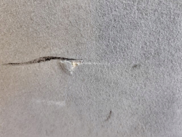 фото №6, Потолок dacia duster