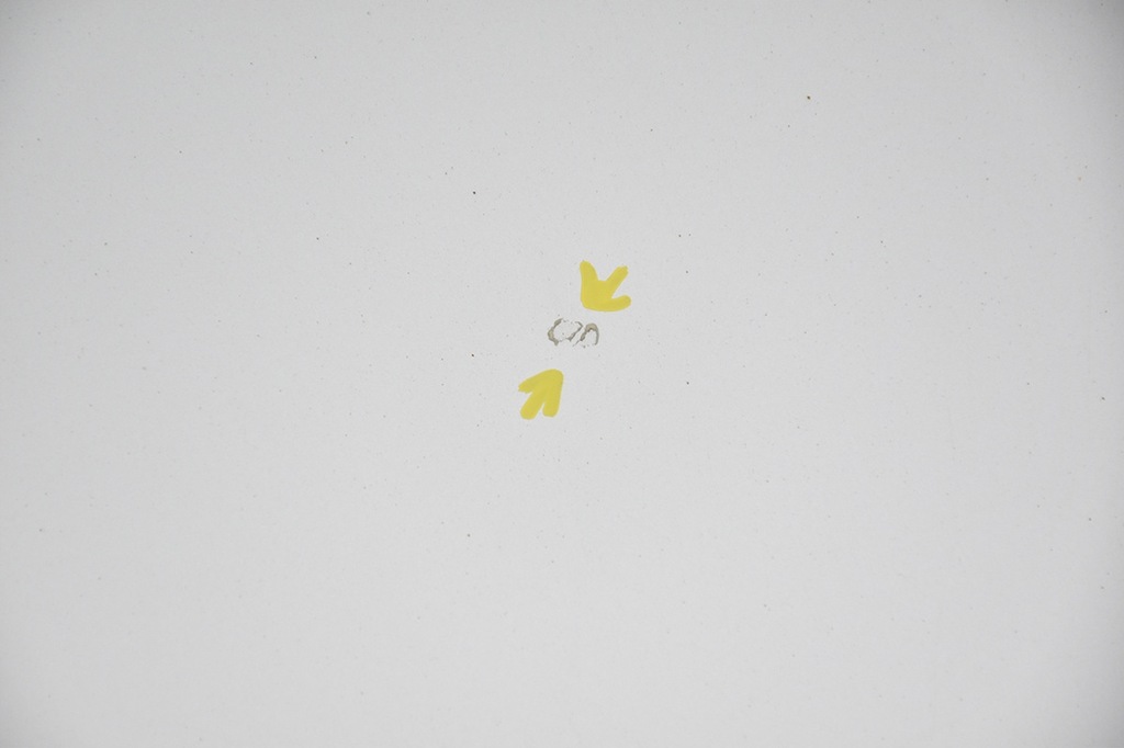 фото №6, Капот кришка двигуна opel insignia a