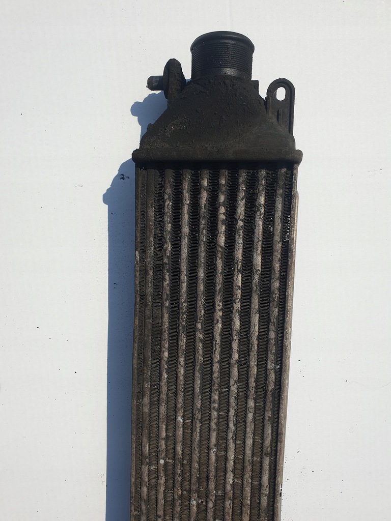 фото №4, Интеркулер fiat doblo ii 1.6 jtd