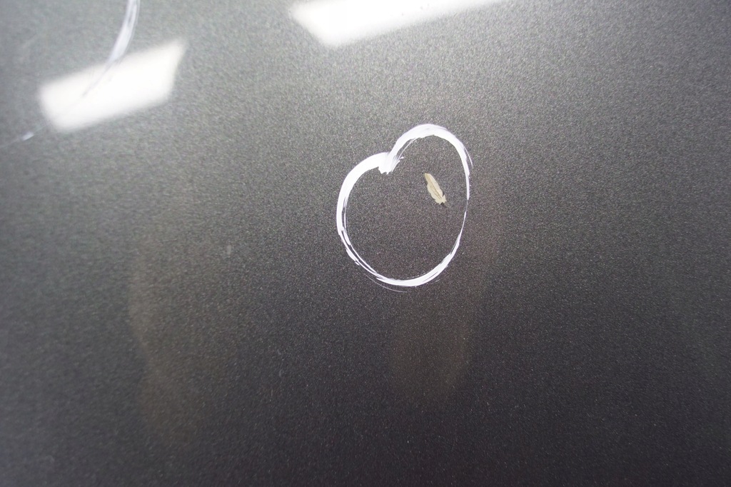 фото №5, Капот кришка двигуна audi a6 c6 lz7s