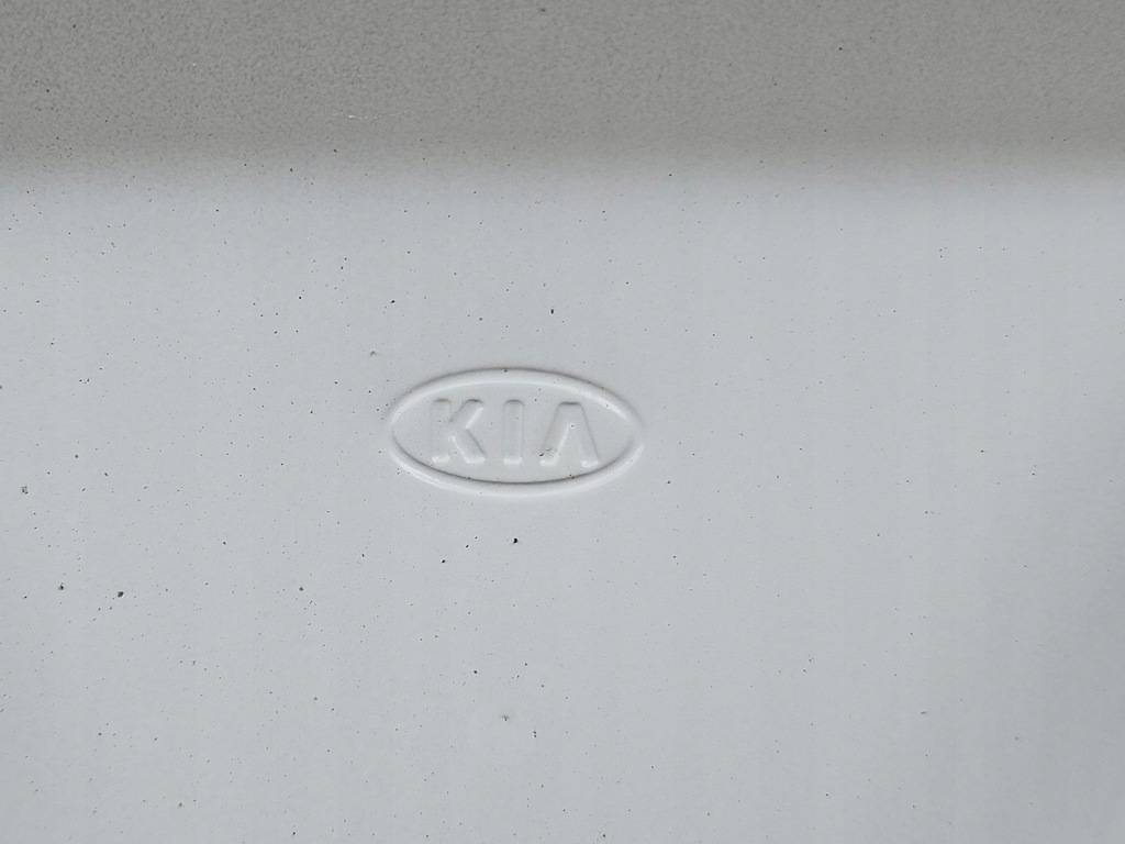 фото №15, Капот крышка двигателя kia niro i 1 ev plus lift 2016- ładna