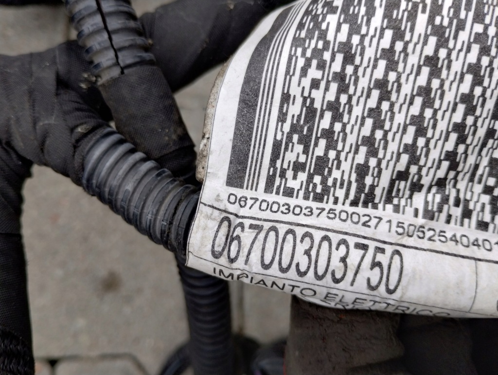 Джгут електропроводка двигуна maserati quattroporte vi 3.0b 670030375 в Україні