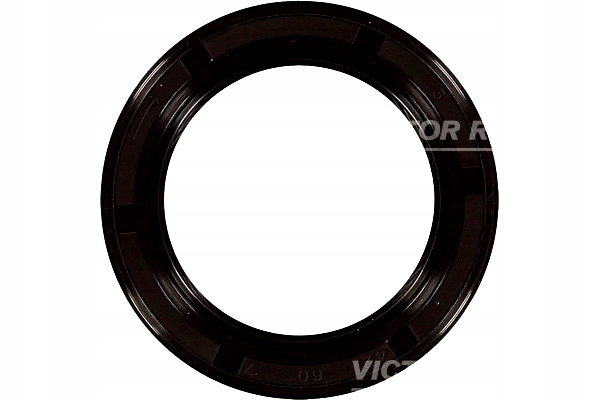 фото №1, Victor reinz 81-53274-00