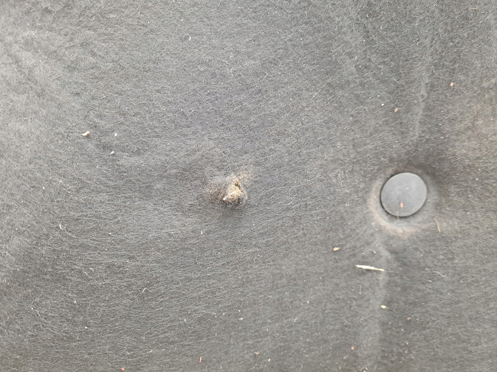 фото №16, Toyota corolla verso ii капот 209