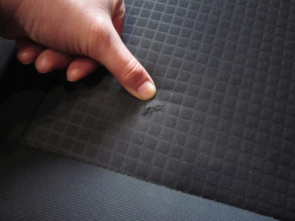 фото №4, Ford b-max сидіння заднє сидіння kpl