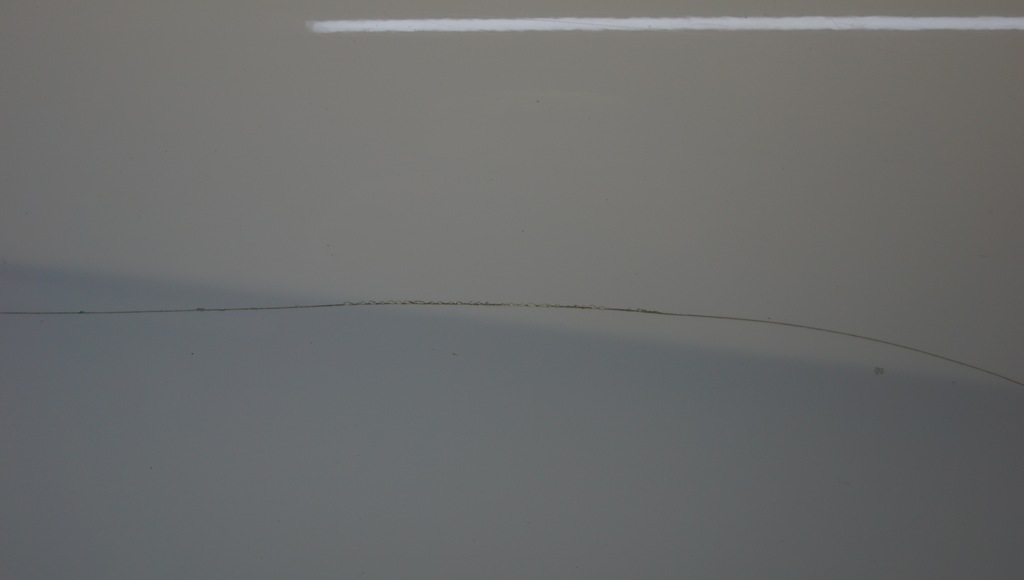 фото №6, Дверь левый перед seat leon ii lift