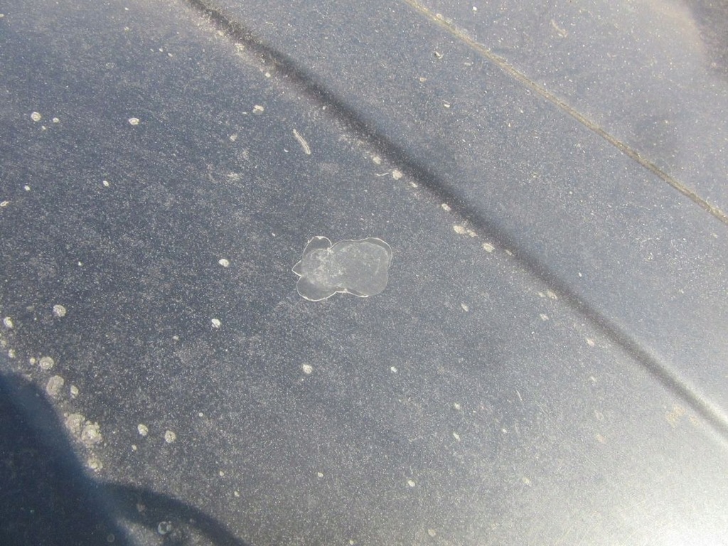 фото №8, Nissan navara d40 дах