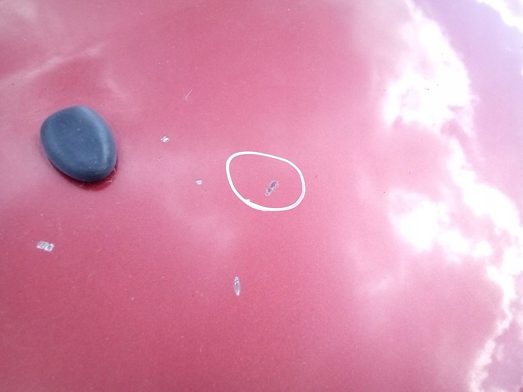 фото №5, Peugeot 207 капот кришка двигуна ekqd