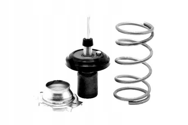 фото №2, Calorstat термостат aston martin cygnet 1.3