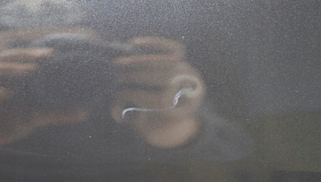 фото №7, Двері правий перед renault megane iii coupe