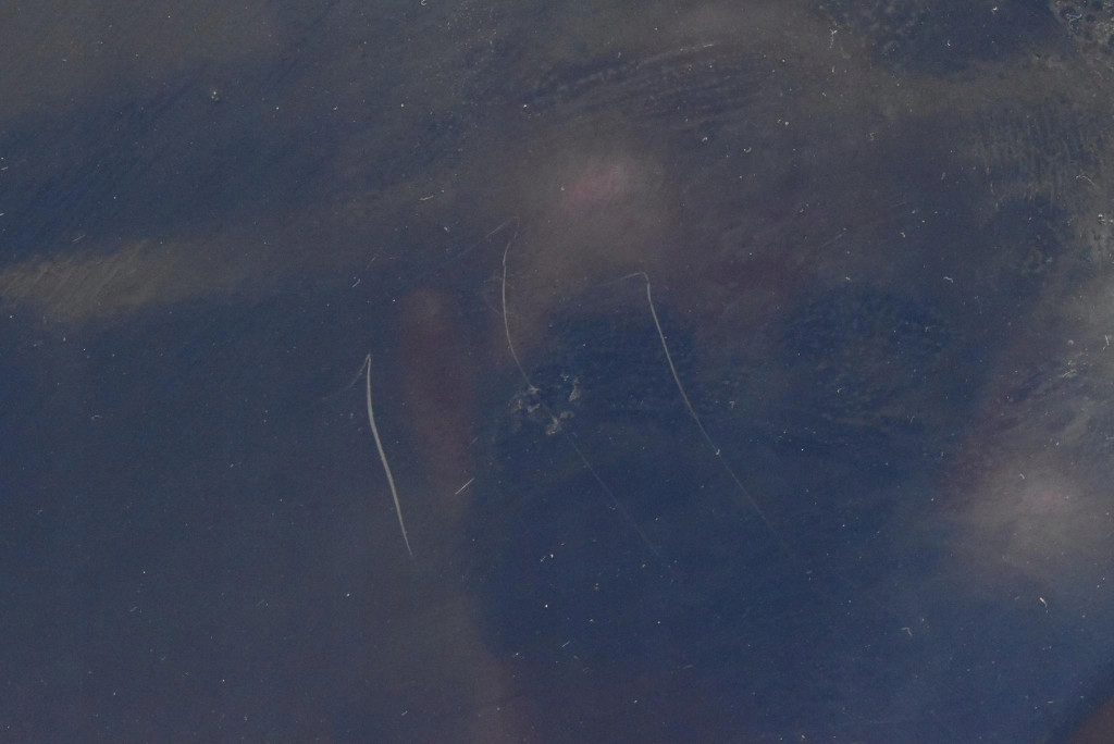 фото №8, Крыло левый перед передний ov460 renault clio 3 iii 05-09