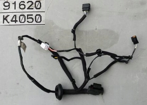 фото №1, Джгут двері лівий задня hyundai kona 91620-k4050