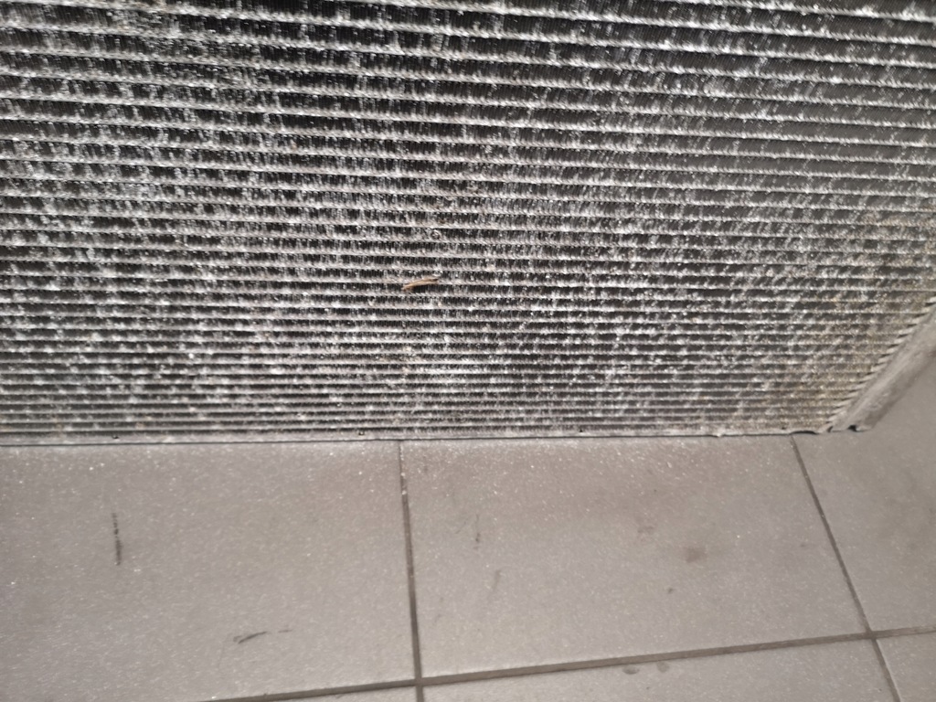 фото №5, Радіатор wody audi s8 d3 5.2 fsi v10 4e0121251f