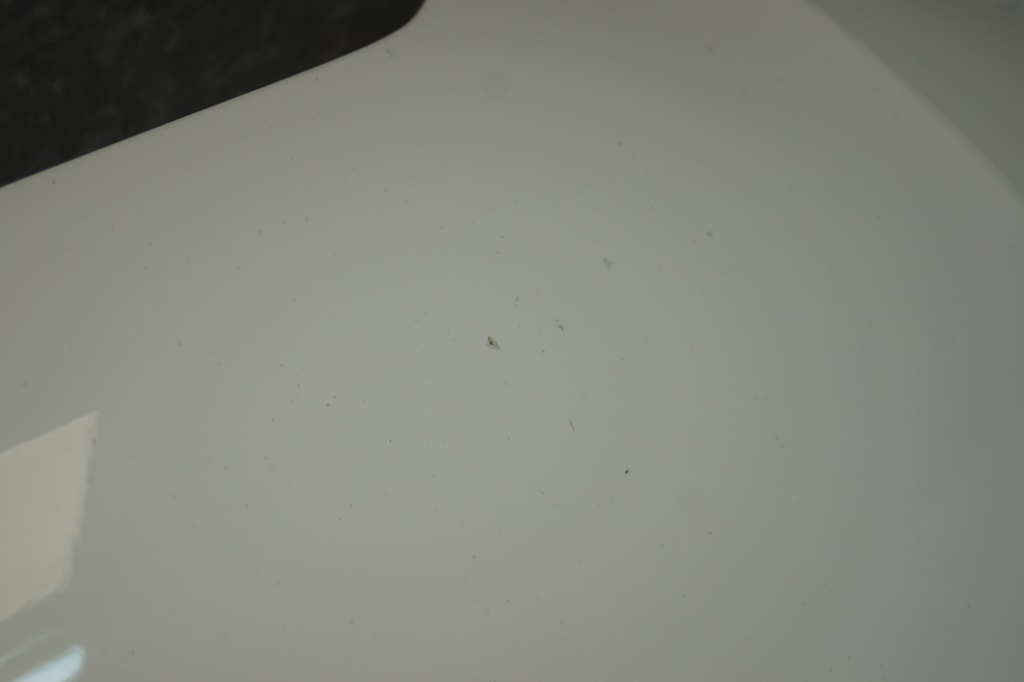 фото №14, Капот крышка двигателя audi a5 8t ly9c