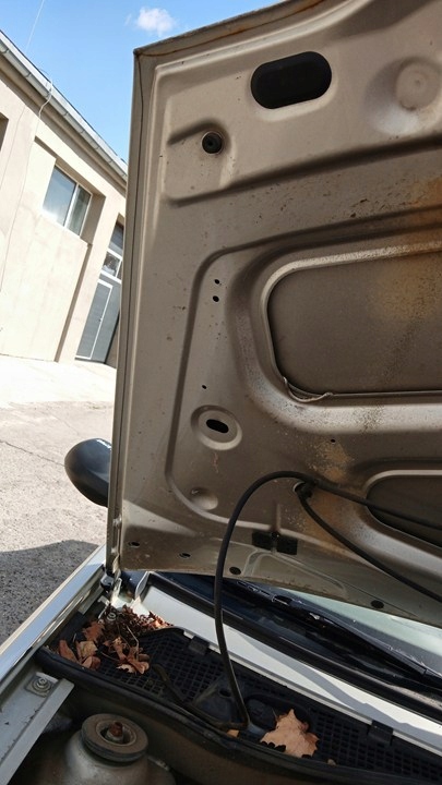 фото №10, Dacia logan sedan 04- капот перед te01d