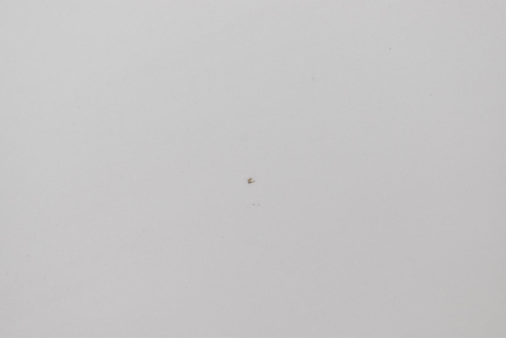 фото №9, Дверь левая перед передние белый tesla model s lift 16-21