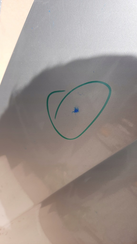 фото №3, Капот передняя opel vectra b 95r