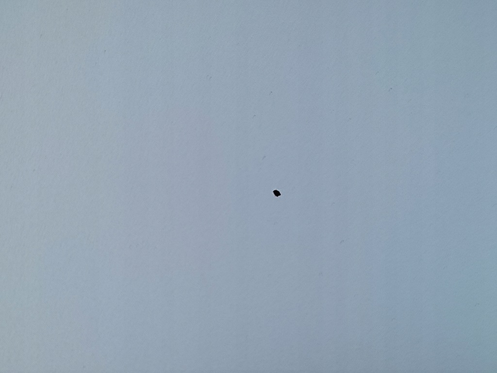 фото №4, Kia venga 2010 - 2017 капот 2r