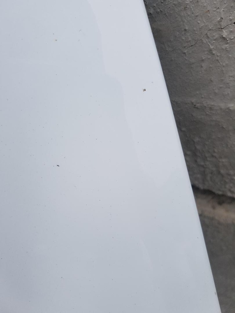 фото №6, Капот крышка двигателя ford fiesta mk7