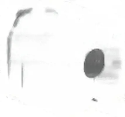 фото №1, Втулка гумовий елемент стабілізатора задня задня fdsb-escr