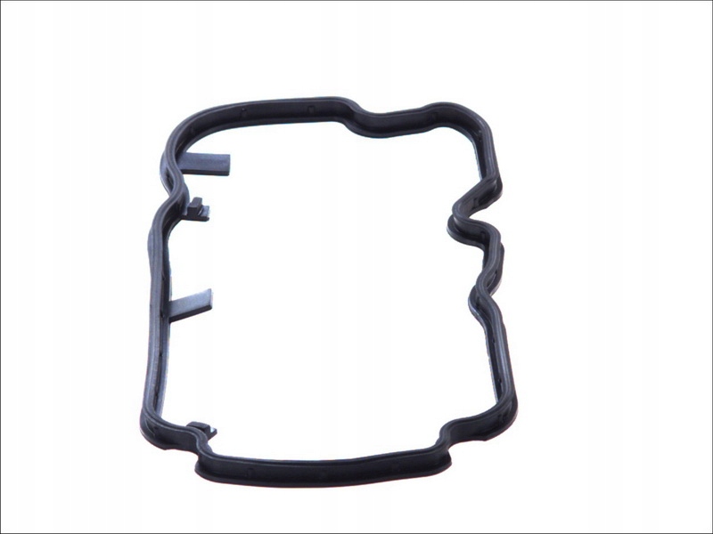 фото №1, Прокладка кришки клапанів lema le20951.08