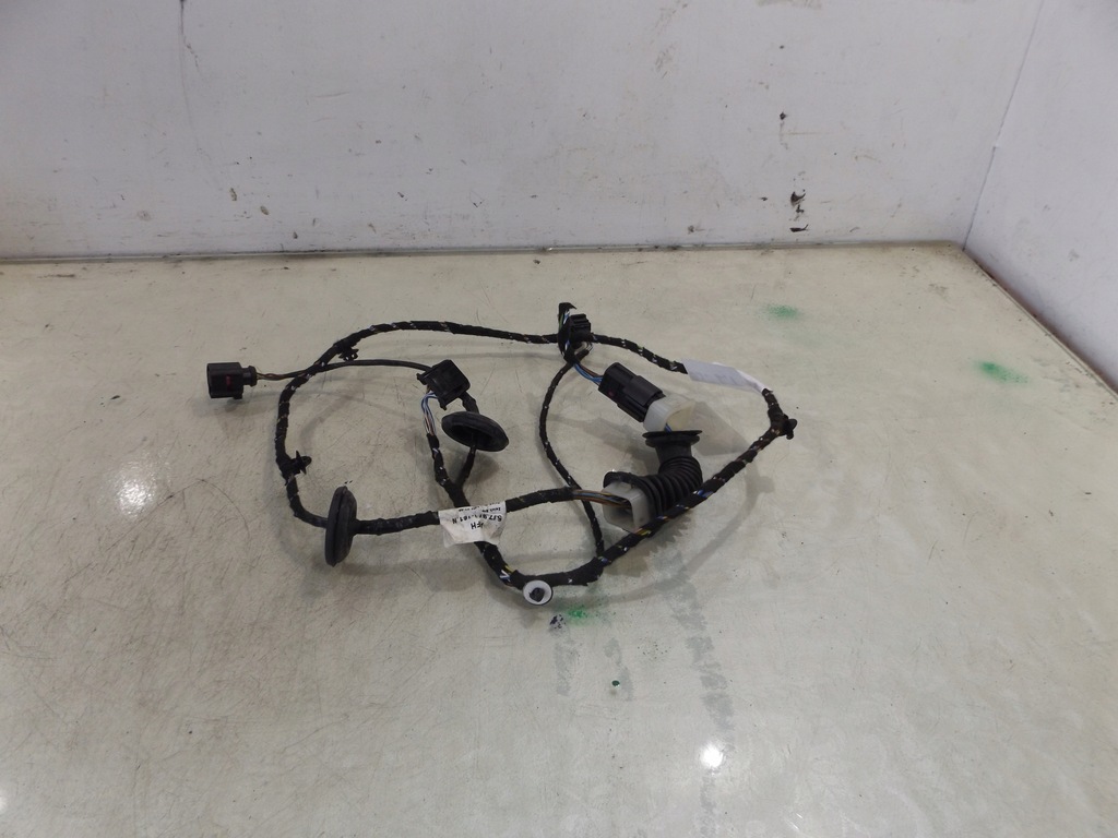 фото №1, Roomster джгут двері лівий задня