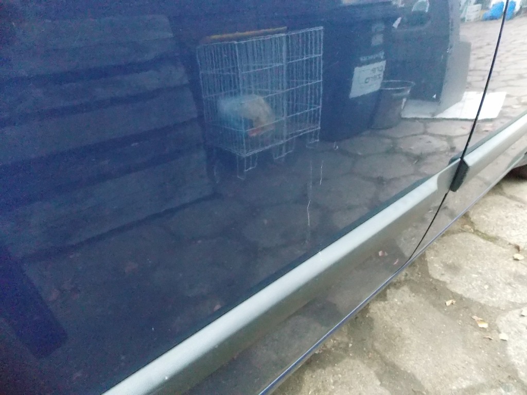 фото №6, Двері задні ліва праве renault scenic 03-09 kod lak. ov460 kpl.