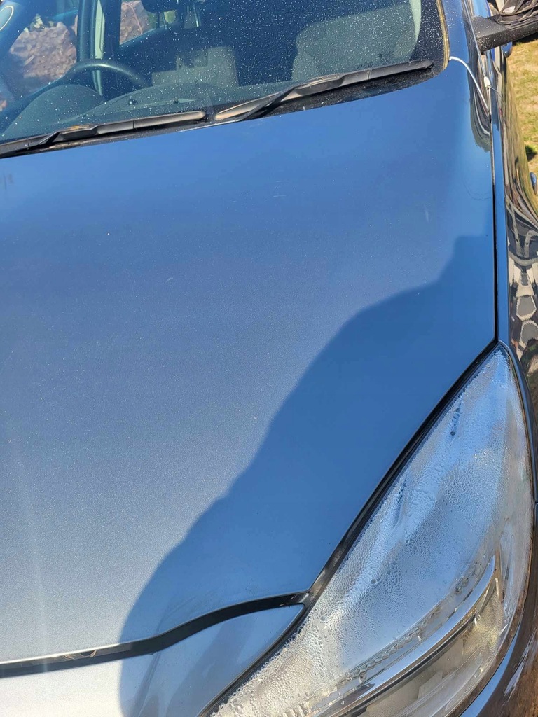 фото №5, Капот opel insignia a z179