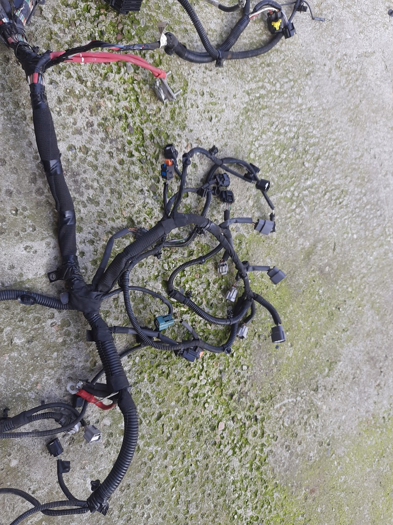 фото №14, Dacia sandero ii 0.9 tce джгут електропроводка двигуна