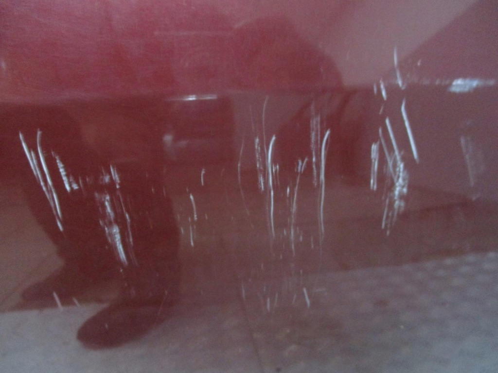 фото №3, Дверь правый перед nissan primera p12 ax5