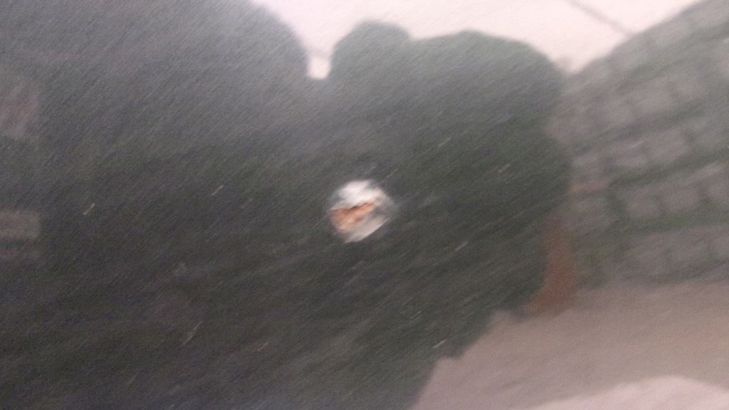 фото №5, Крышка багажника багажника задняя vw passat b5 lift kombi ld6s