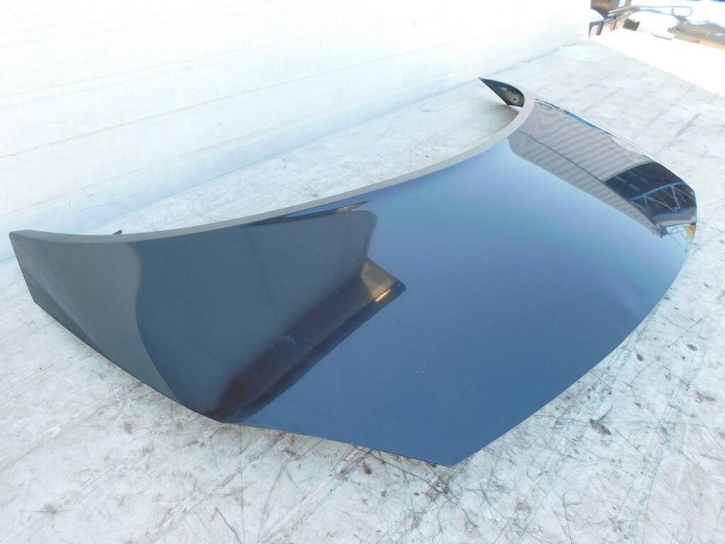 фото №6, Renault scenic ii 2004r капот