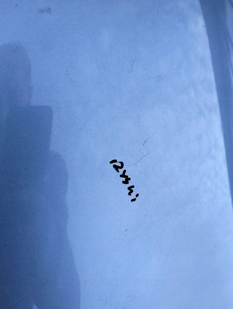 фото №7, Крила правий перед renault grand scenic iii колір terpa lata 2008-2012