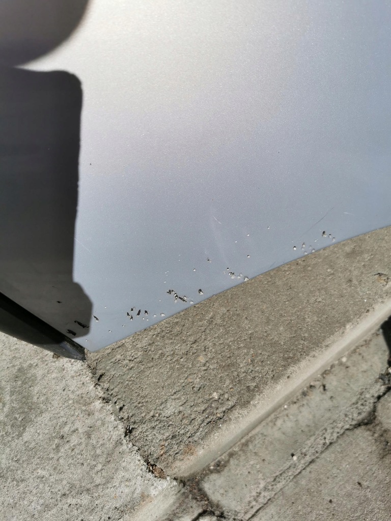 фото №14, Бампер передній renault espace iv 03-10 8200102205