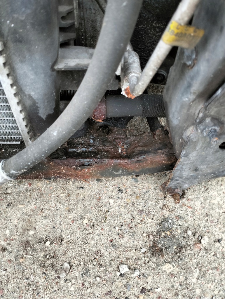 Ремень передний 1.5 dci nissan qashqai 1 j10 рестайлинг  lata 2010-2013 комплектный с Разборки