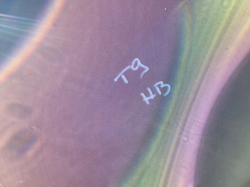 фото №6, Килимок багажника задня peugeot 308 t9 ii hb