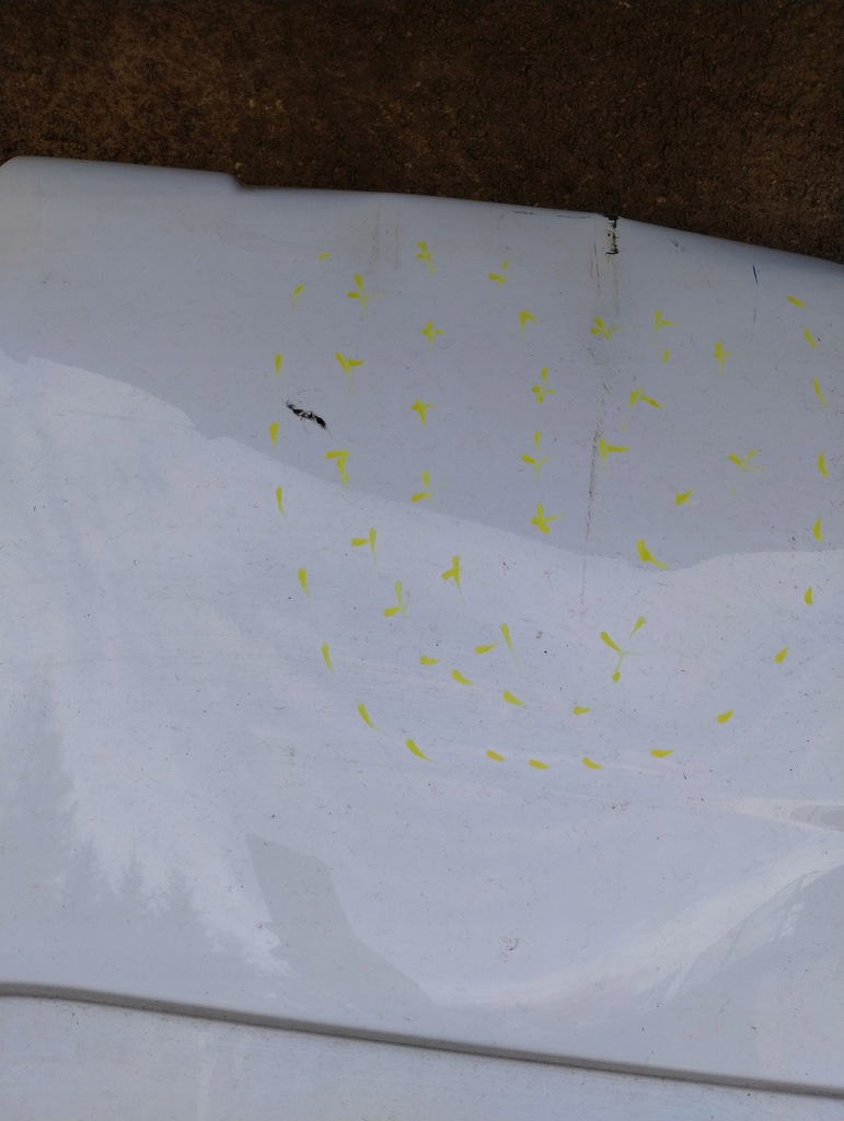 фото №6, Двері лівий задня задні master iii 3 lift renault