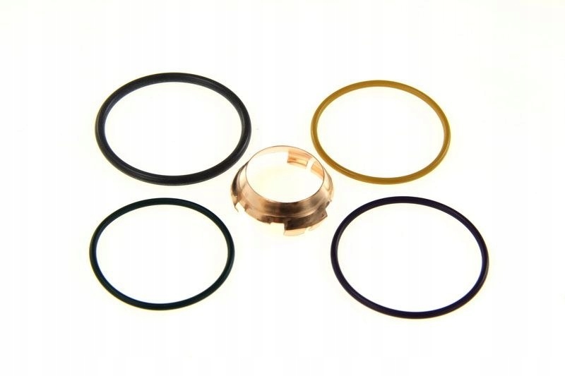 Купити Елементи насос-форсунка dt 1.31294